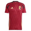 Maillot de Supporter Belgique Domicile Euro 2024 Pour Homme